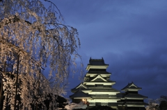 枝垂れと城