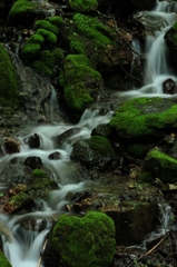 苔むす渓流