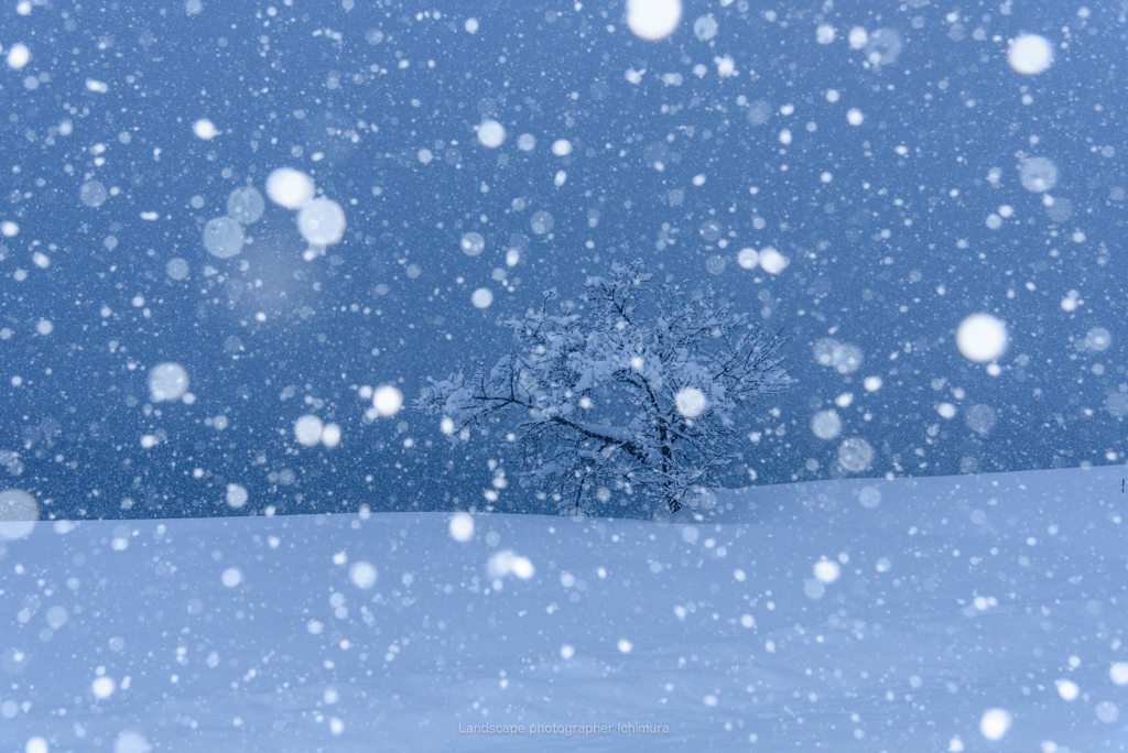 雪の青木湖畔