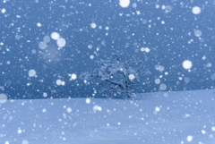 雪の青木湖畔