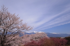 春の空