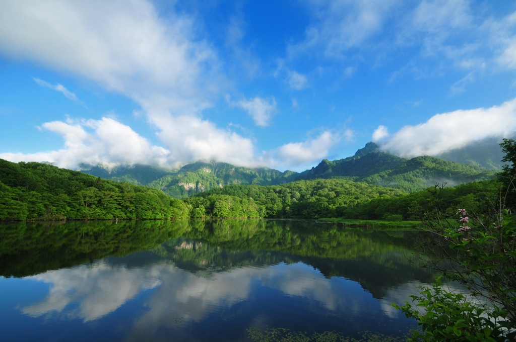 初夏の鏡池