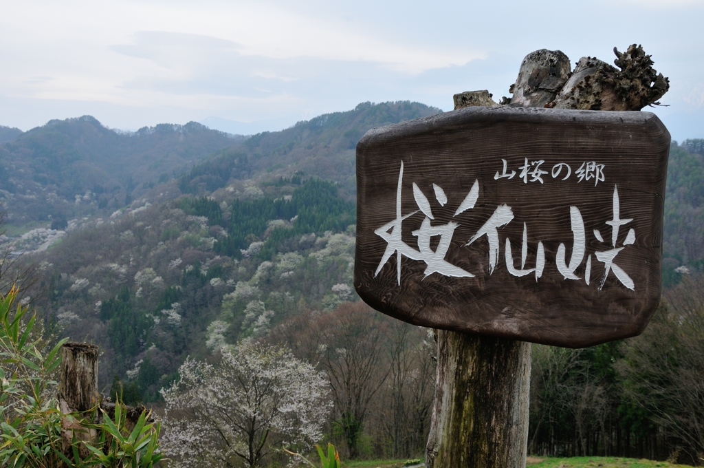 看板