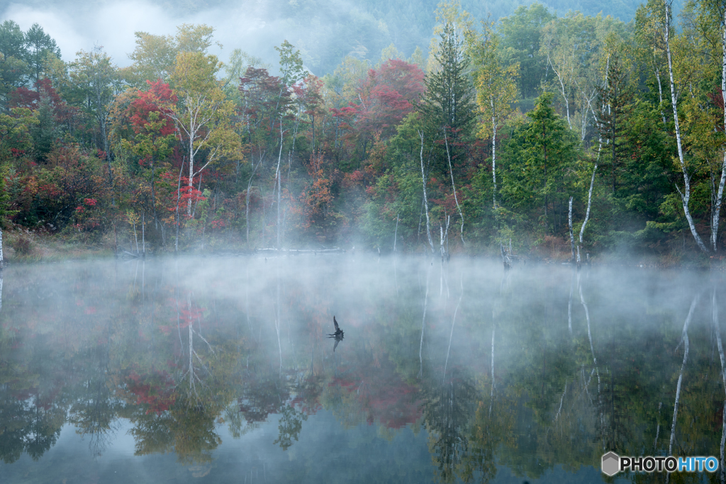 2015まいめの池紅葉