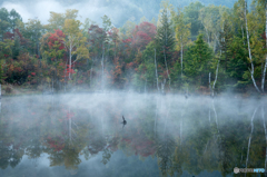 2015まいめの池紅葉