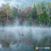 2015まいめの池紅葉