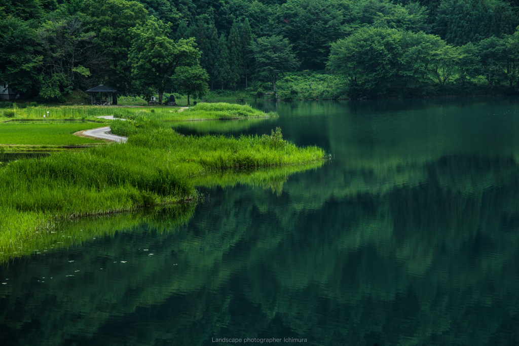 湖面の映り込み