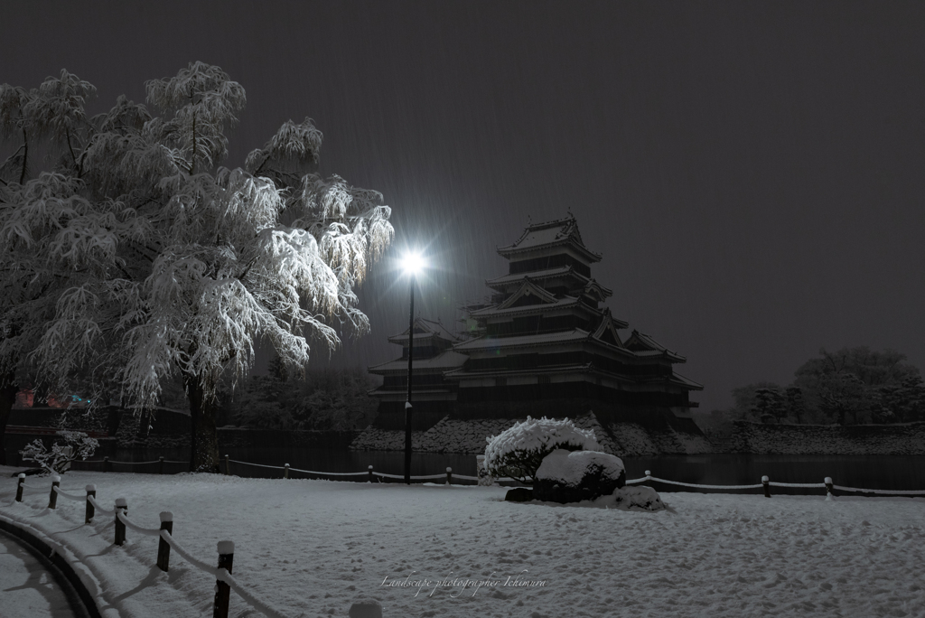 雪の花