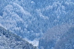 春の雪化粧