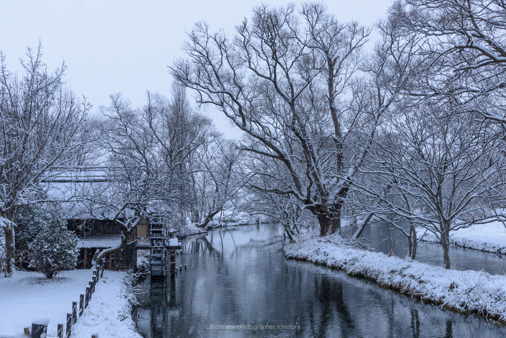 雪の朝＜安曇野＞