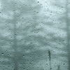 Rainy Day