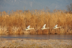 Take Off