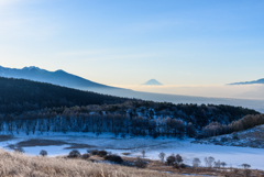 冬の湿原と富士