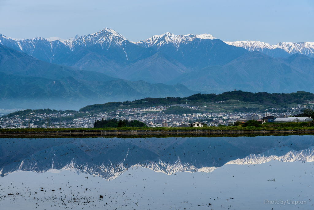 田んぼ