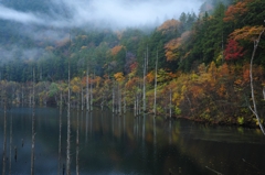 自然湖の朝