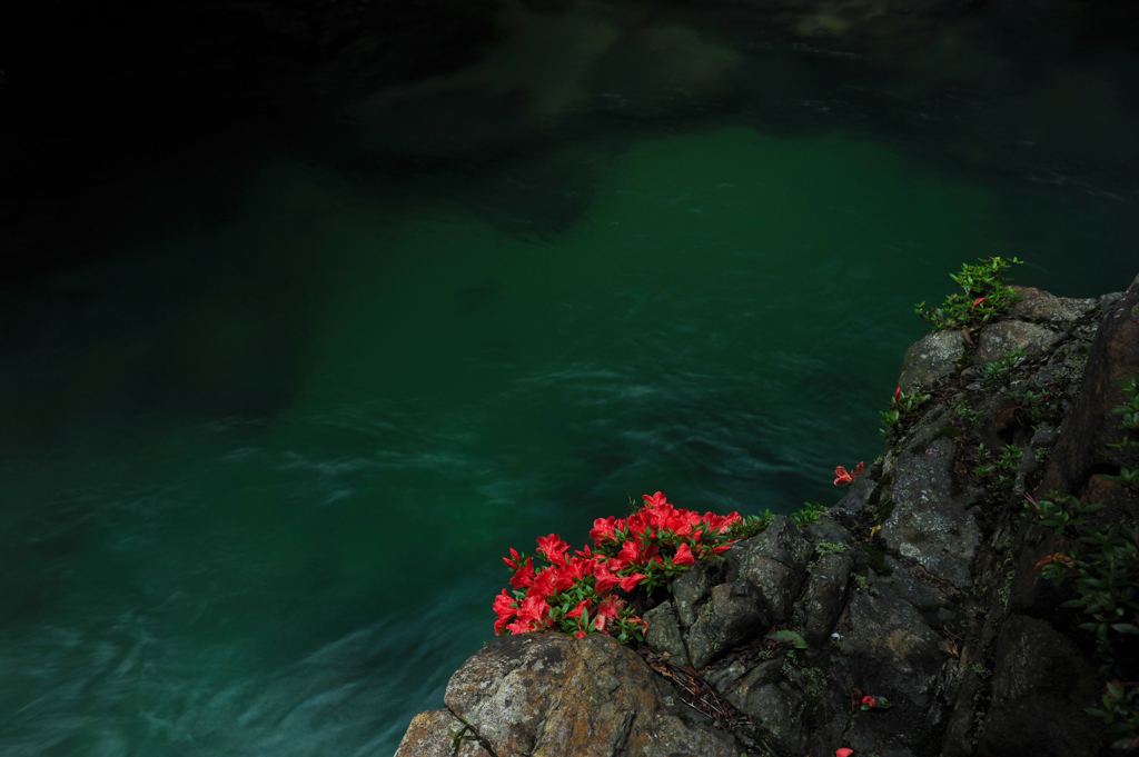 Adera GREEN+RED