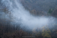 朝霧に煙る（白馬村）