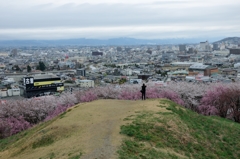 弘法山寸景