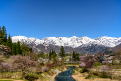 白馬の春＜大出公園＞