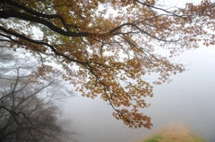 晩秋の情景