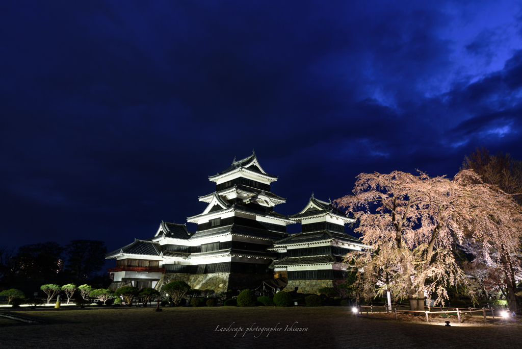 松本城　夜桜会