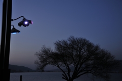 LED照明