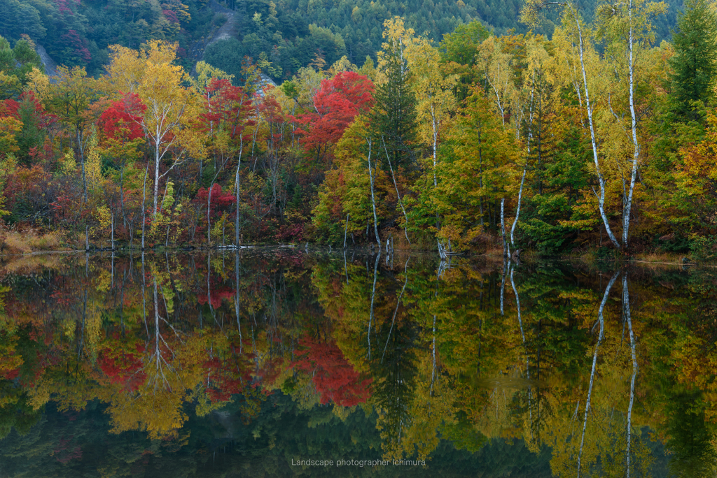 まいめの池紅葉