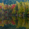 まいめの池紅葉