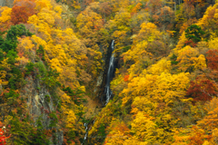 八滝の秋