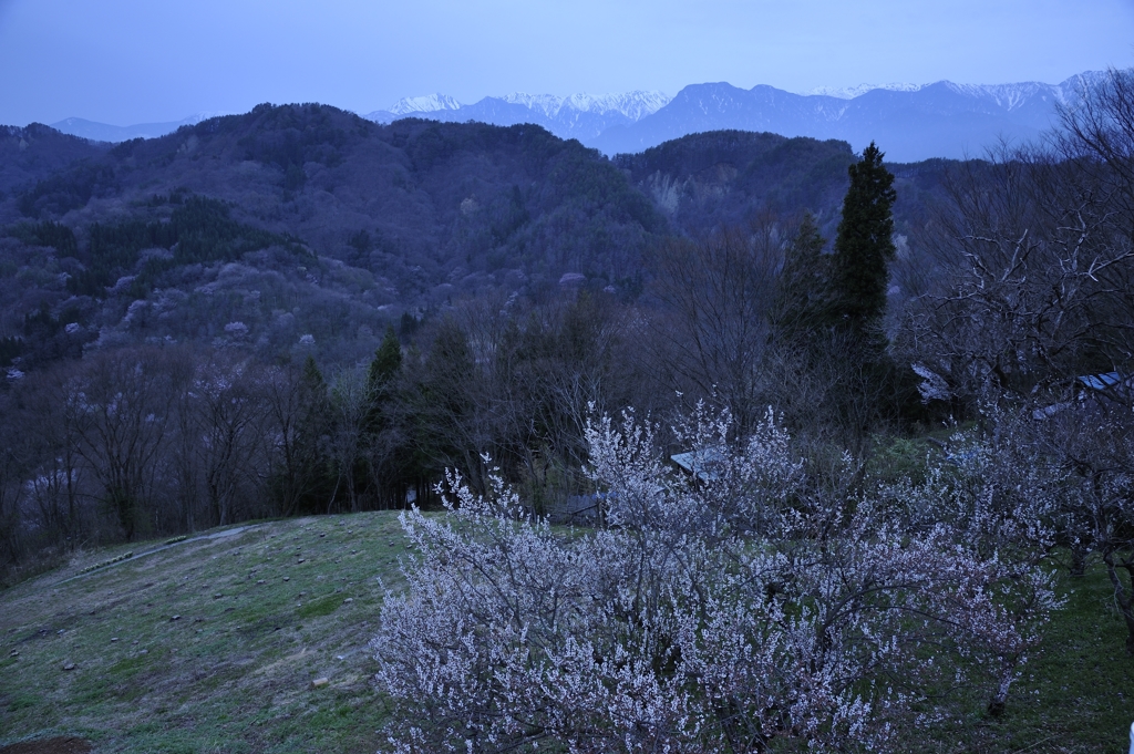 桜仙峡#1