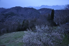 桜仙峡#1