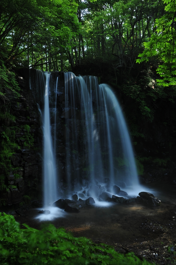 唐沢の滝（本流）