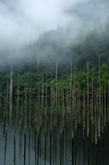 Lake of fog#2