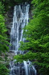 唐沢の滝、上段の流れ
