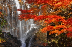 秋の唐沢の滝