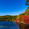 2021白駒池紅葉