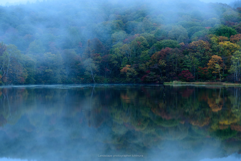 朝霧と紅葉