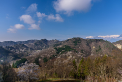 桜仙峡の春２