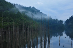 雨の自然湖