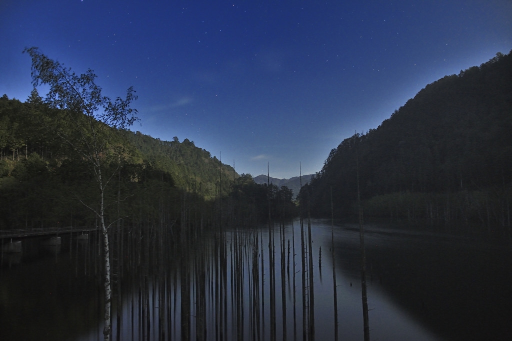 月夜の自然湖