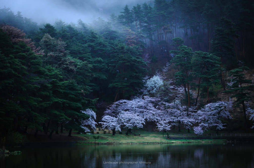 雨上がりの朝