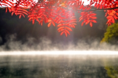 白駒池の朝#2