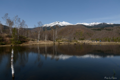 早春の乗鞍高原