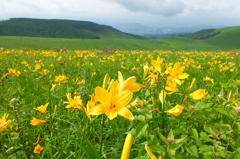 たまには爽やかに！