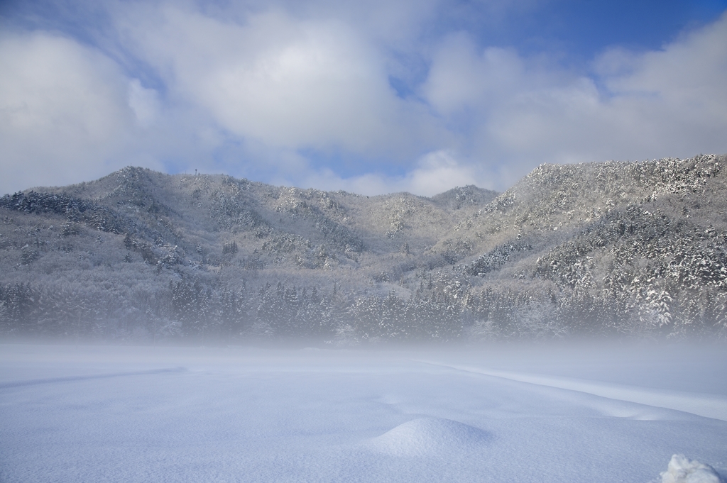 雪原