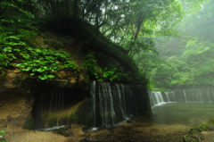 朝靄けむる白糸の滝