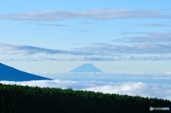 初夏＝早朝の富士＝