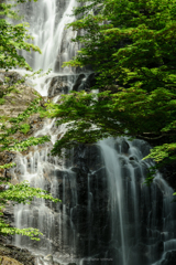 初夏の滝