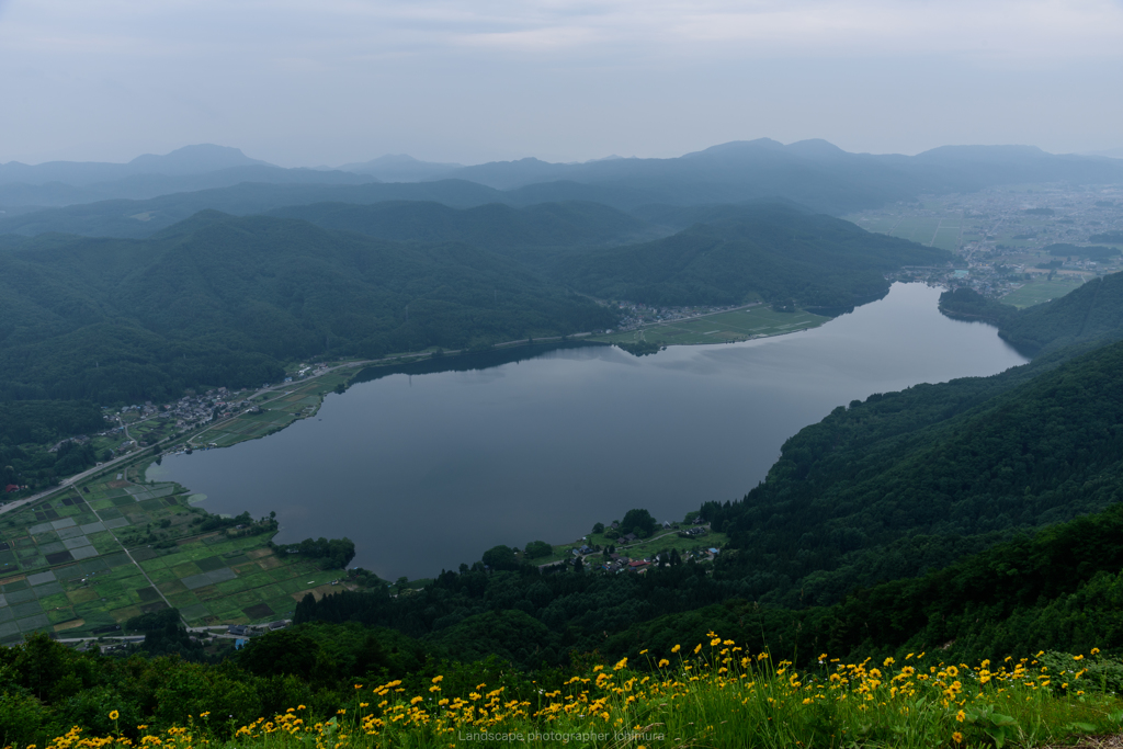 夏の早朝風景