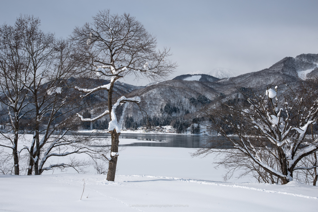 青木湖寸景